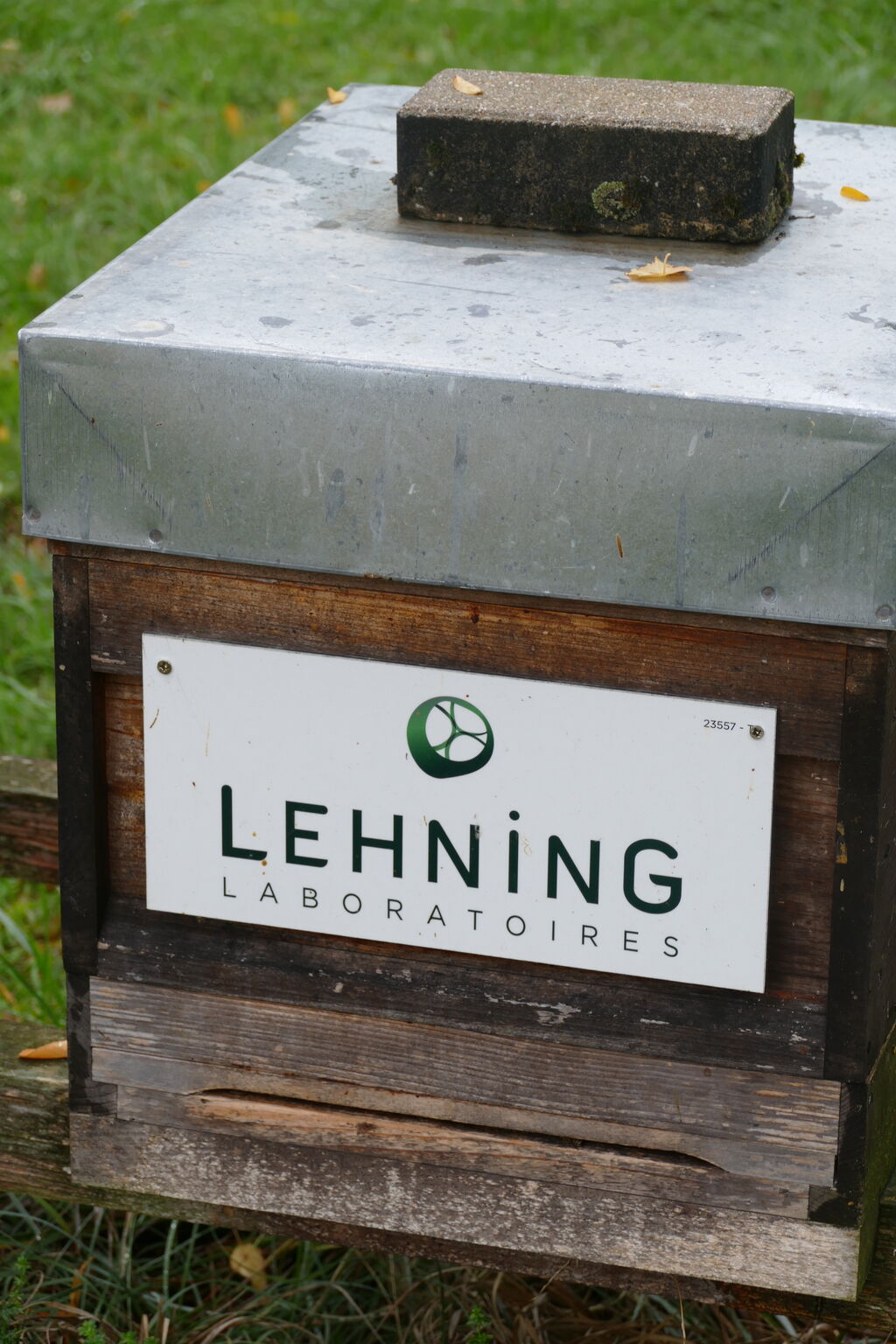 La ruche LABORATOIRES LEHNING