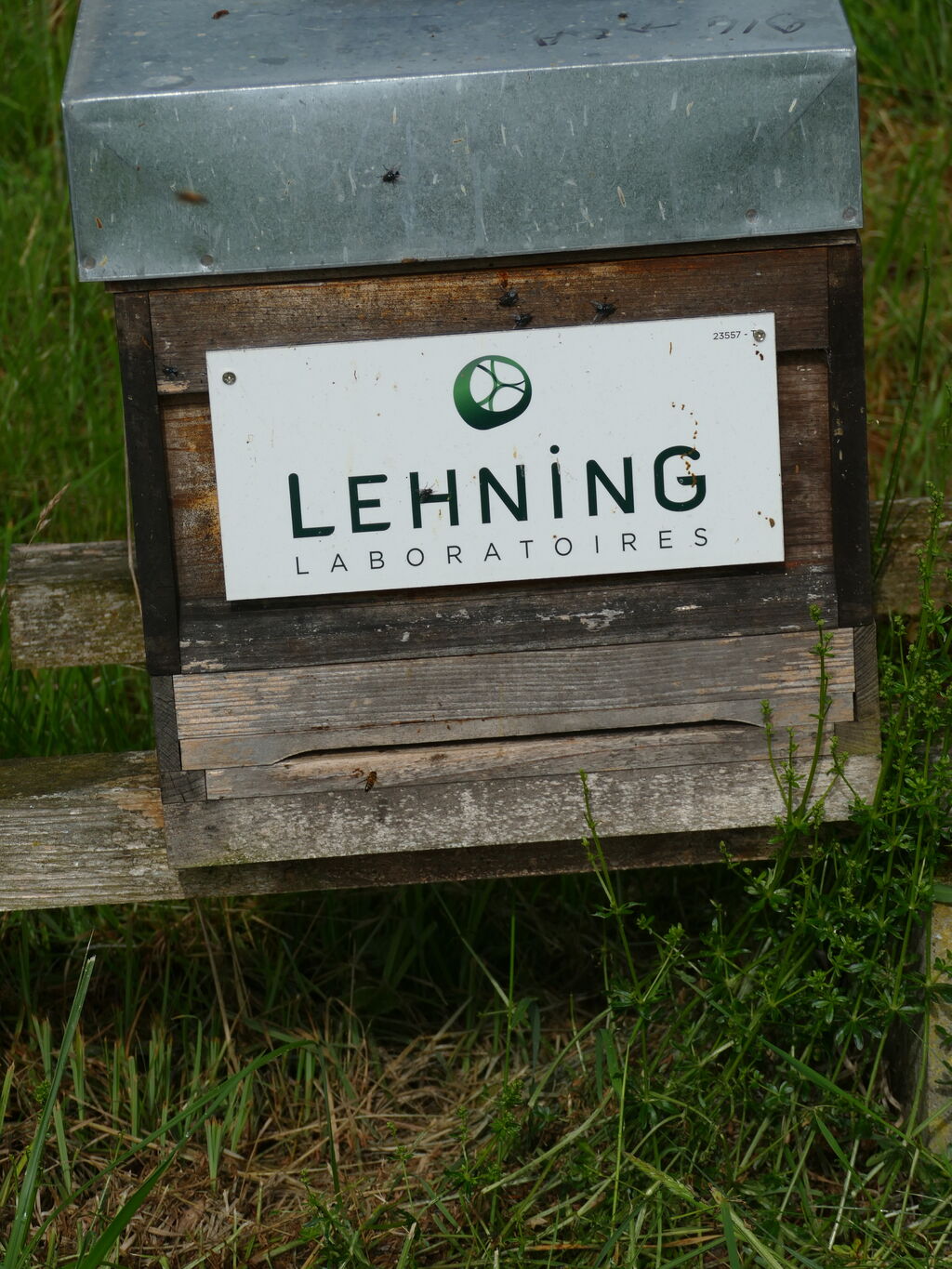 La ruche LABORATOIRES LEHNING 