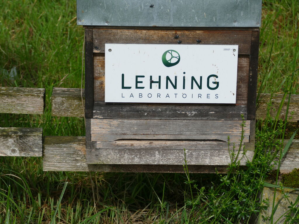 La ruche LABORATOIRES LEHNING 