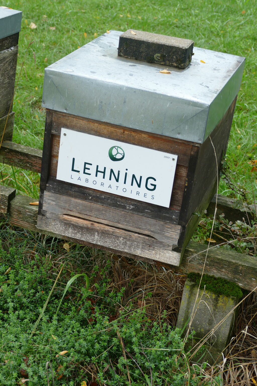 La ruche LABORATOIRES LEHNING