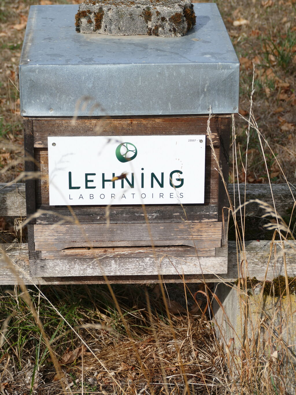 La ruche LABORATOIRES LEHNING