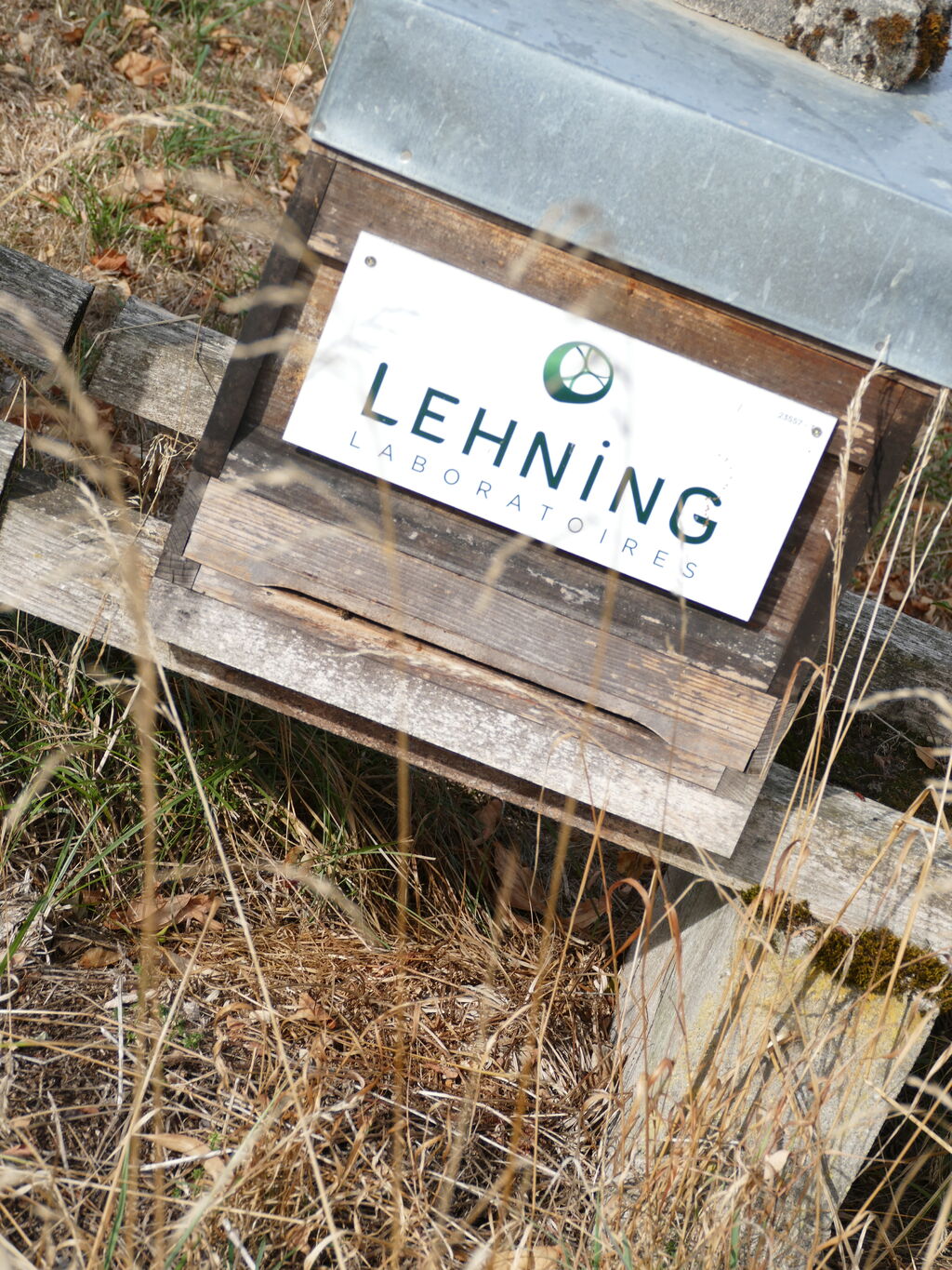 La ruche LABORATOIRES LEHNING