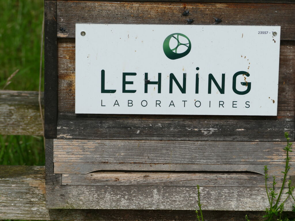 La ruche LABORATOIRES LEHNING 