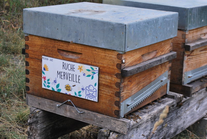 La ruche Merveille