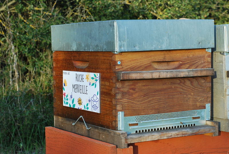 La ruche Merveille