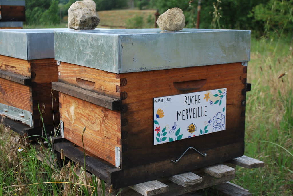 La ruche Merveille
