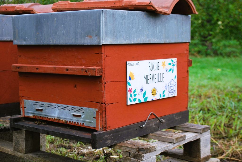 La ruche Merveille