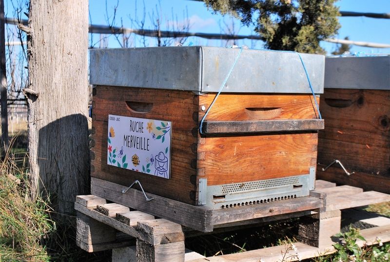 La ruche Merveille