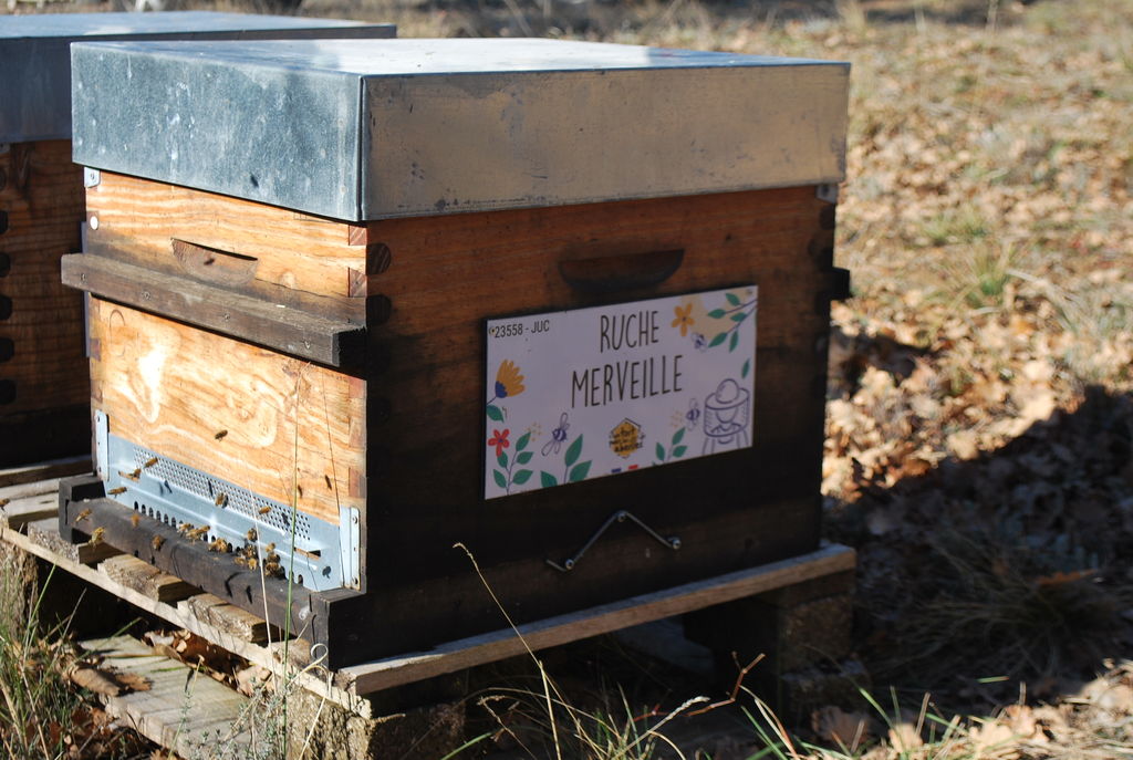 La ruche Merveille