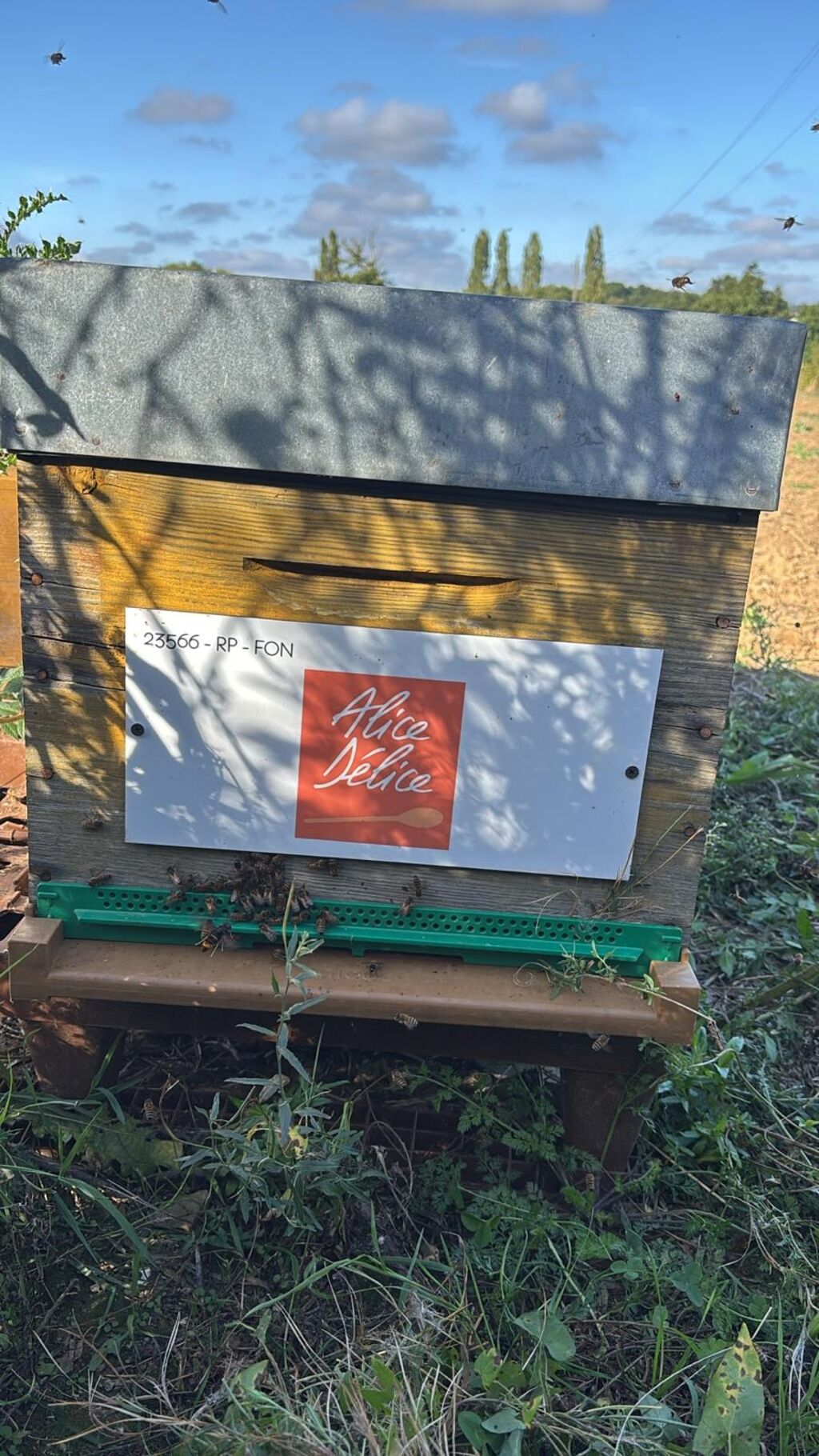 La ruche Alice Délice Val d Europe