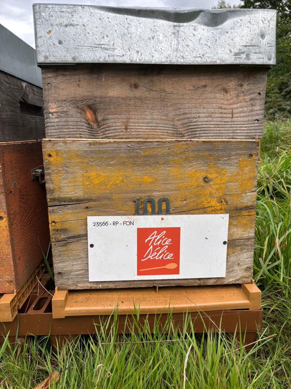 La ruche Alice Délice Val d Europe