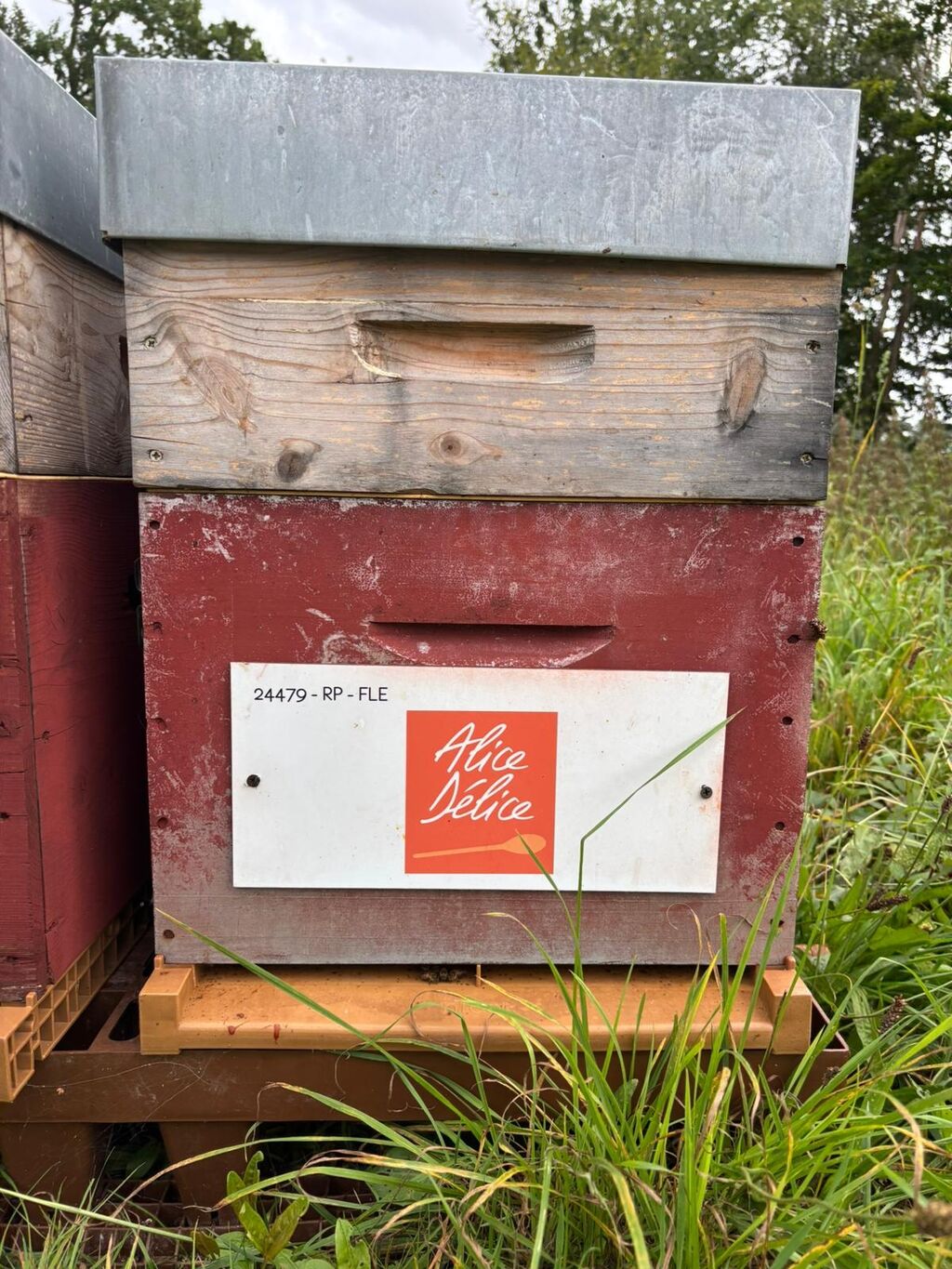 La ruche Alice Délice Val d Europe