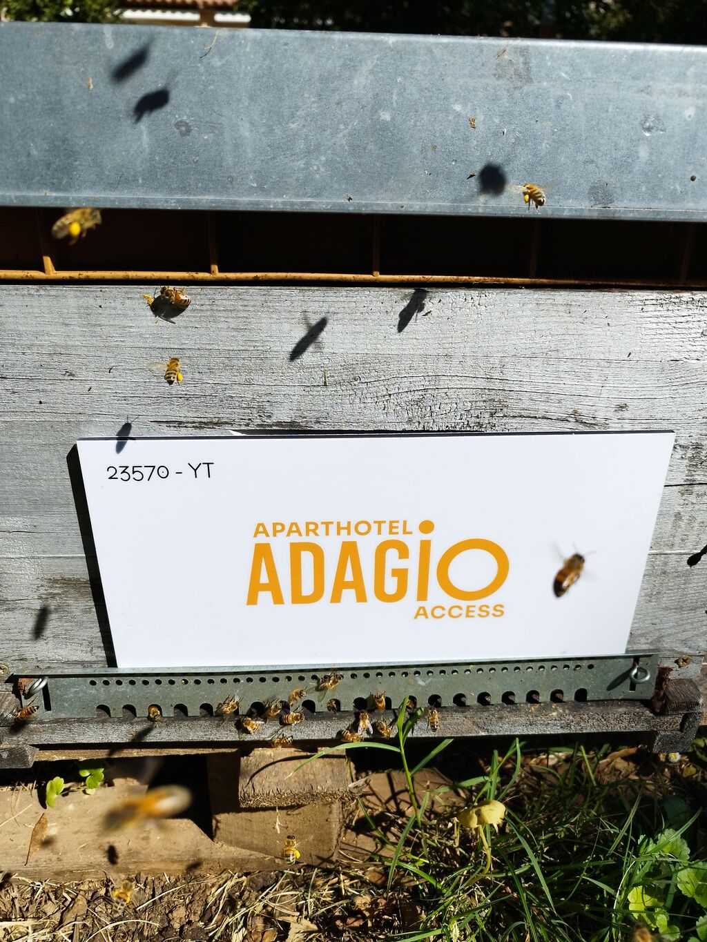 La ruche Adagio Access Nice Garibaldi