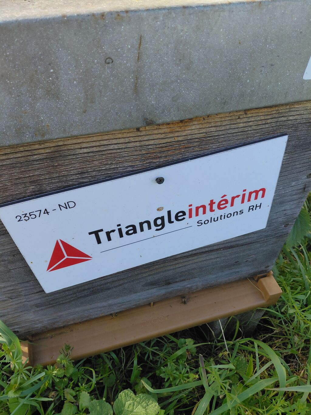 La ruche TRIANGLE INTERIM SOLUTIONS RH