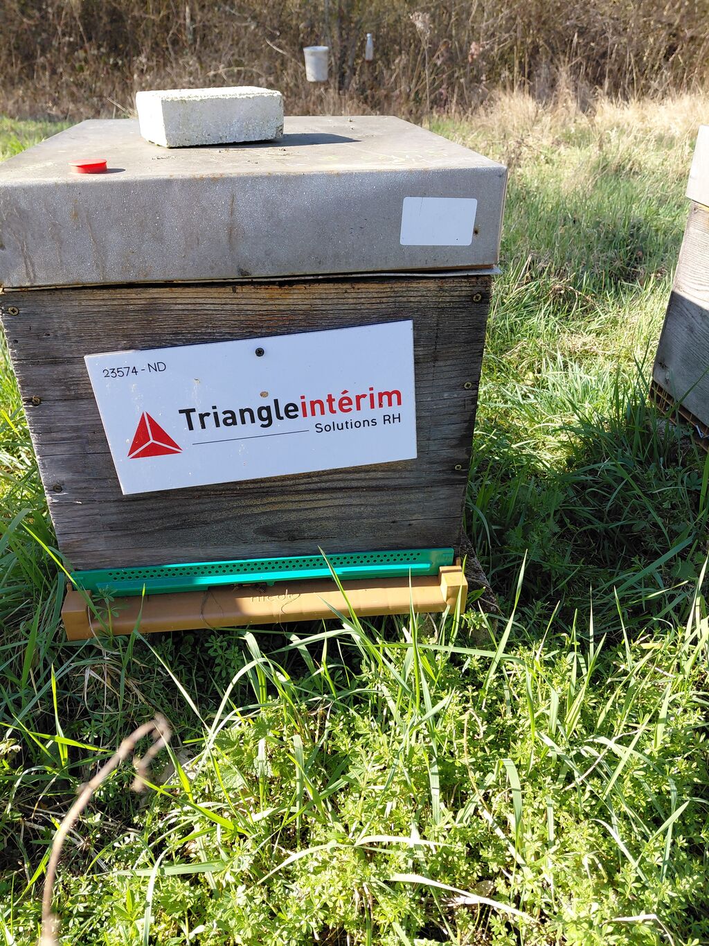 La ruche TRIANGLE INTERIM SOLUTIONS RH