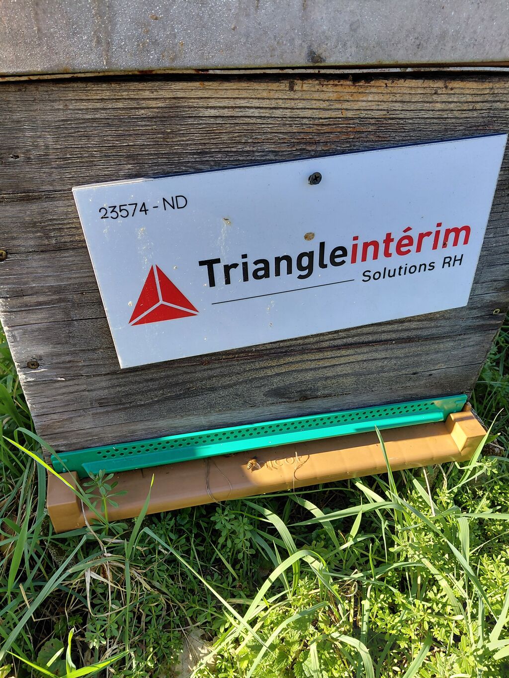 La ruche TRIANGLE INTERIM SOLUTIONS RH