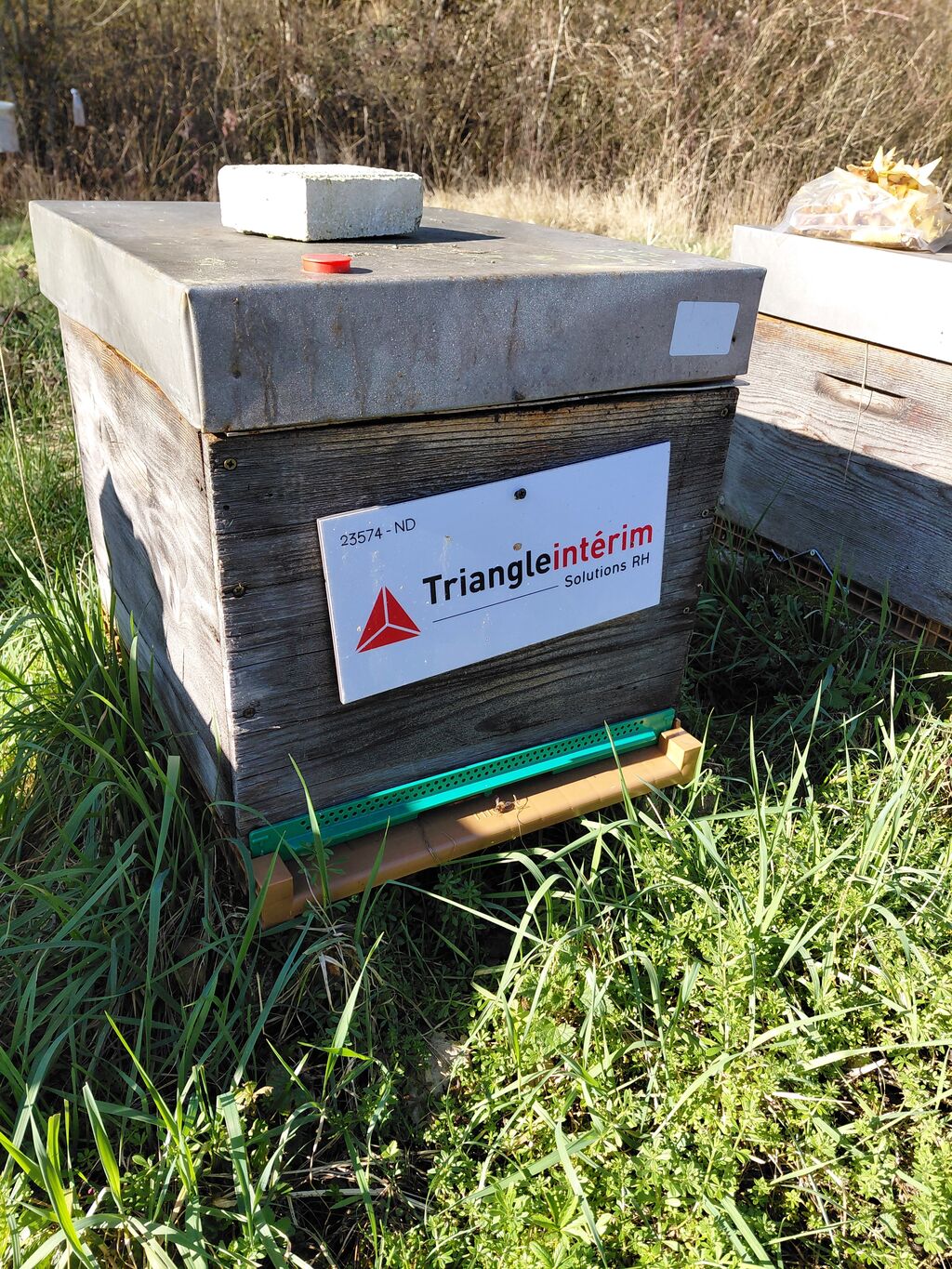 La ruche TRIANGLE INTERIM SOLUTIONS RH