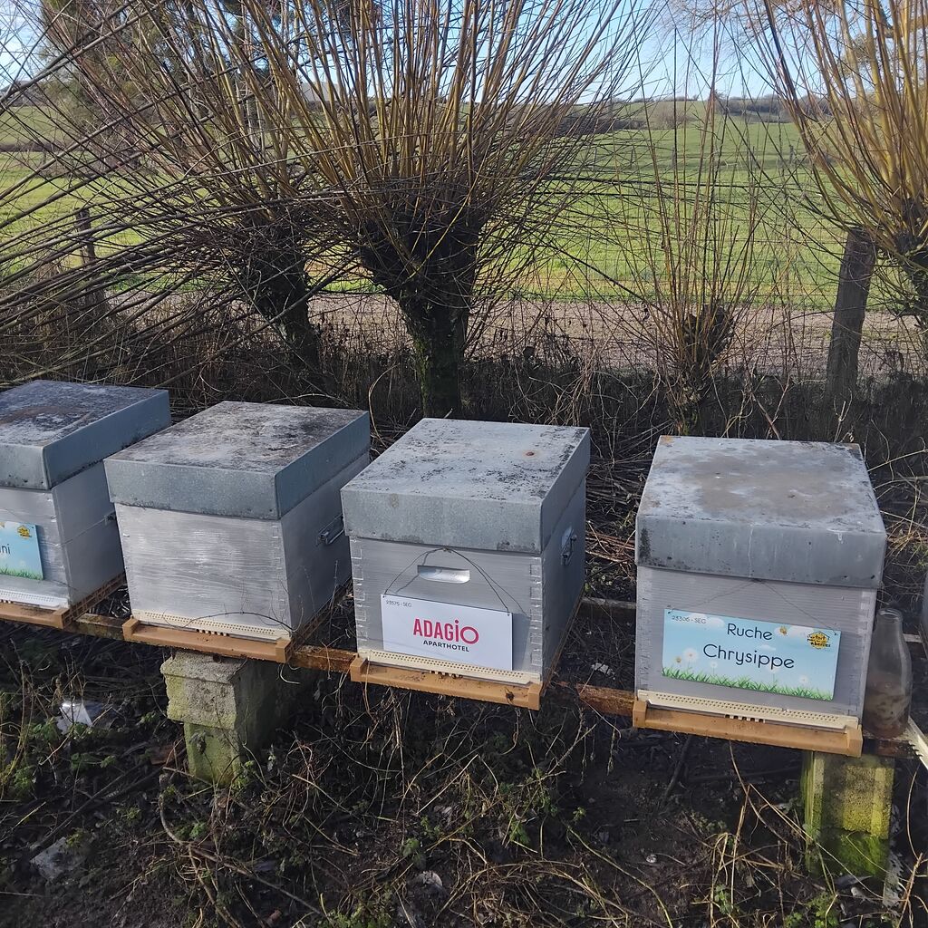 La ruche Adagio access Dijon République