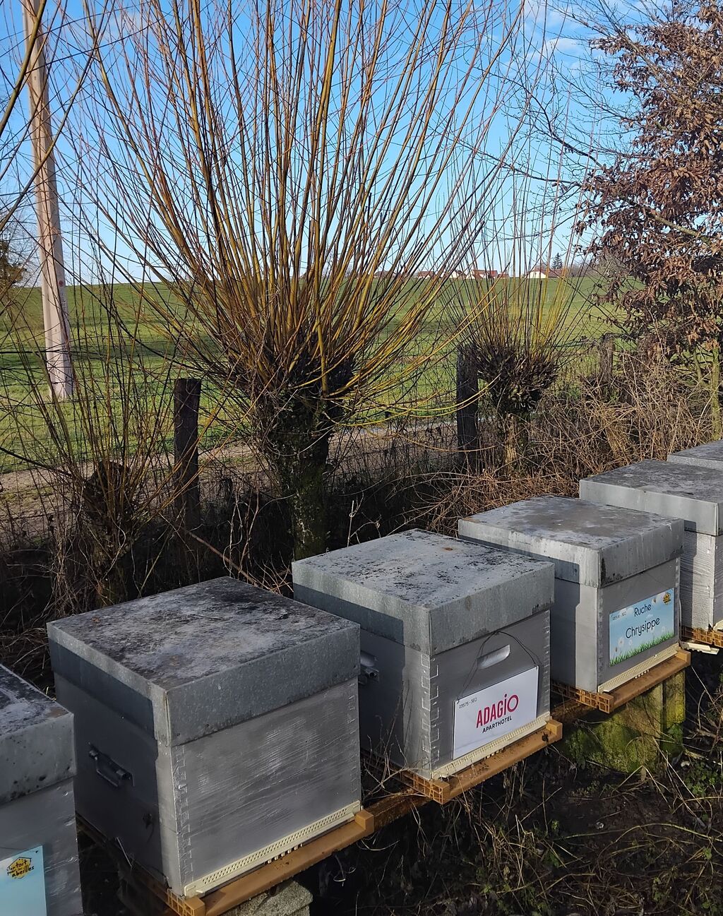 La ruche Adagio access Dijon République