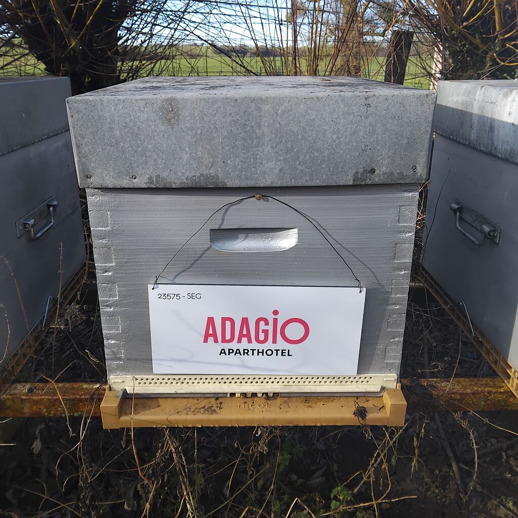 La ruche Adagio access Dijon République