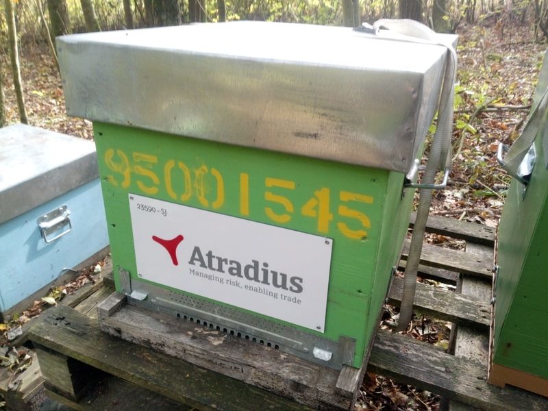 La ruche Atradius Crédito y Caucion SA (Atradius)