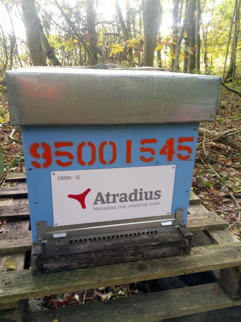 La ruche Atradius Crédito y Caucion SA (Atradius)