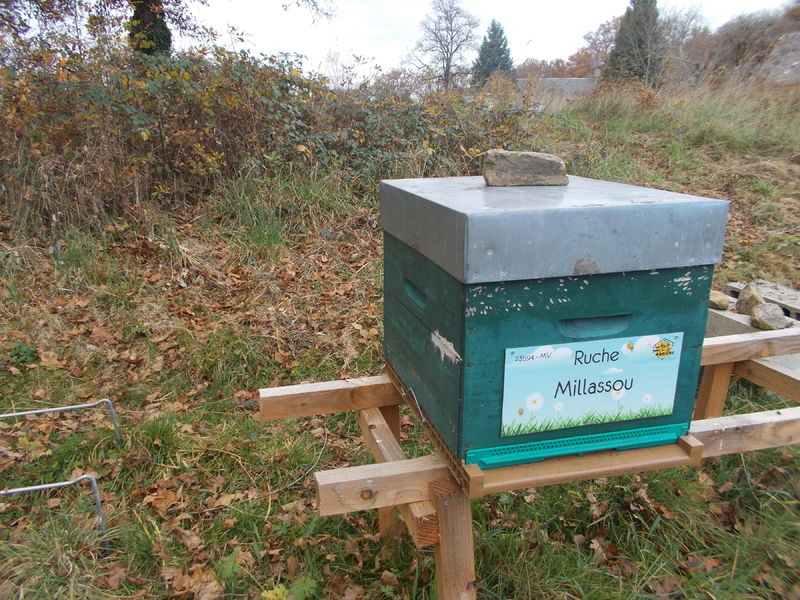 La ruche Millassou