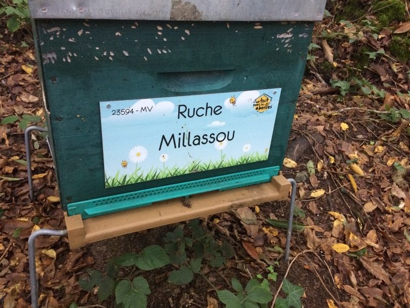 La ruche Millassou