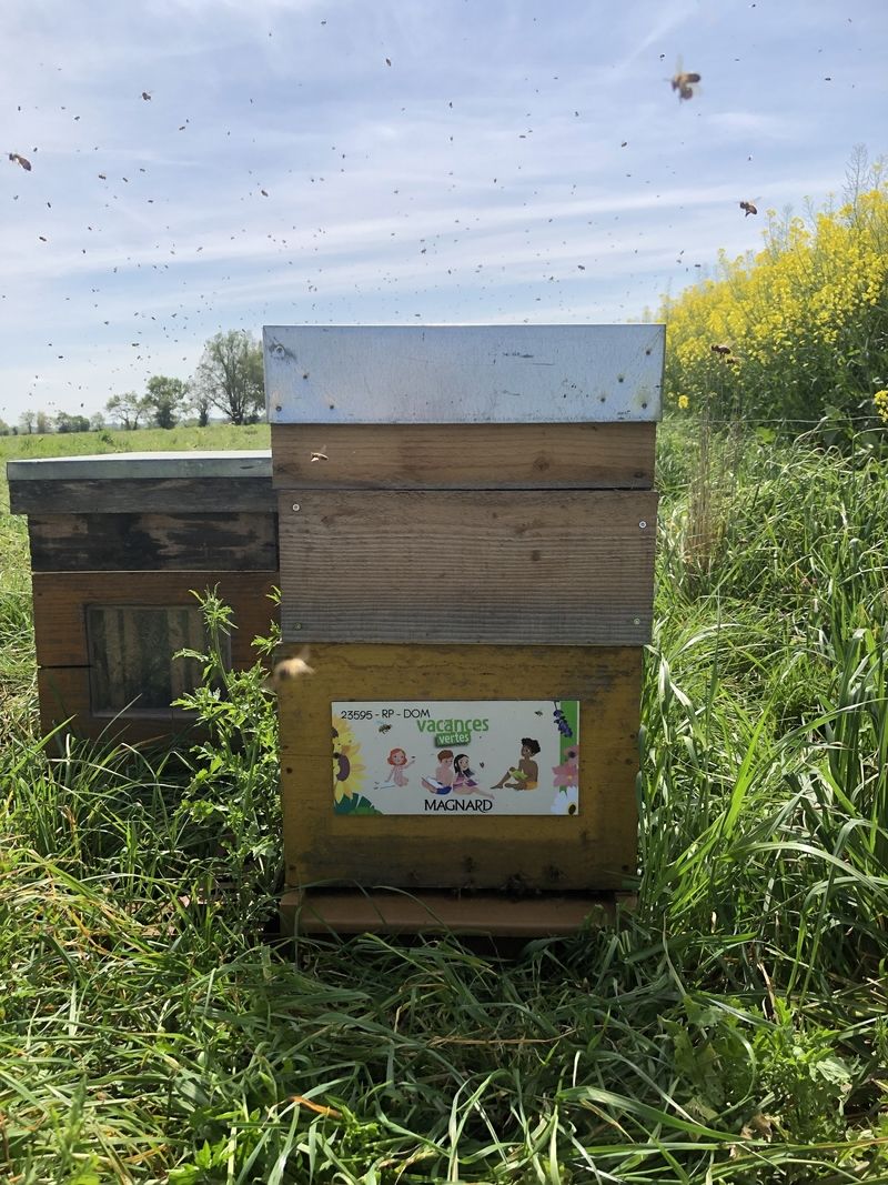 La ruche Magnard - vacances vertes