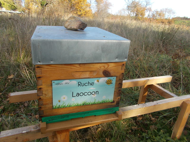 La ruche Laocoon