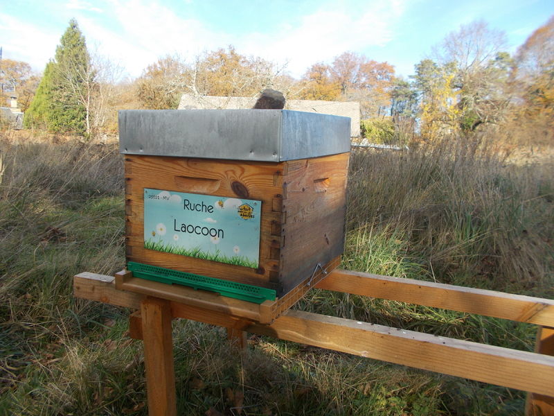 La ruche Laocoon