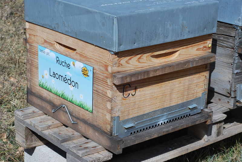 La ruche Laomédon