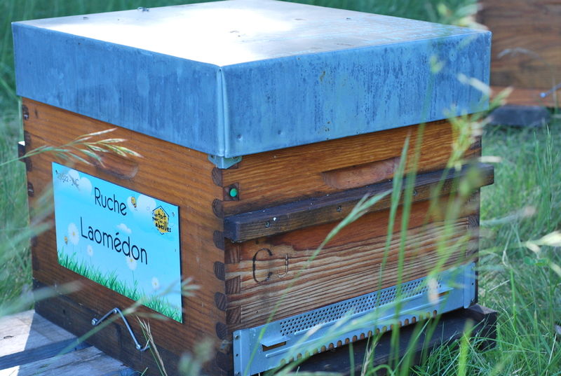 La ruche Laomédon