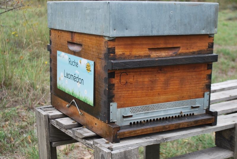 La ruche Laomédon