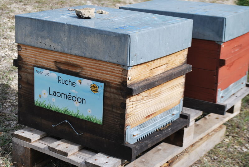 La ruche Laomédon