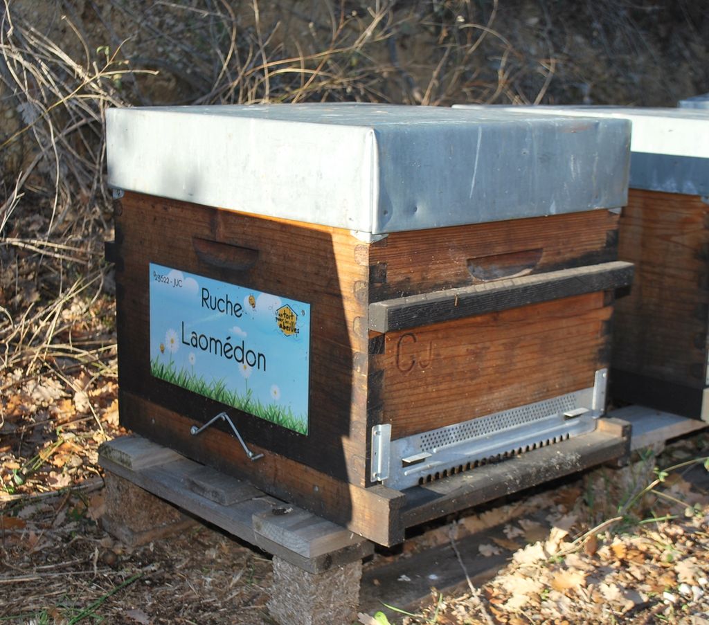 La ruche Laomédon