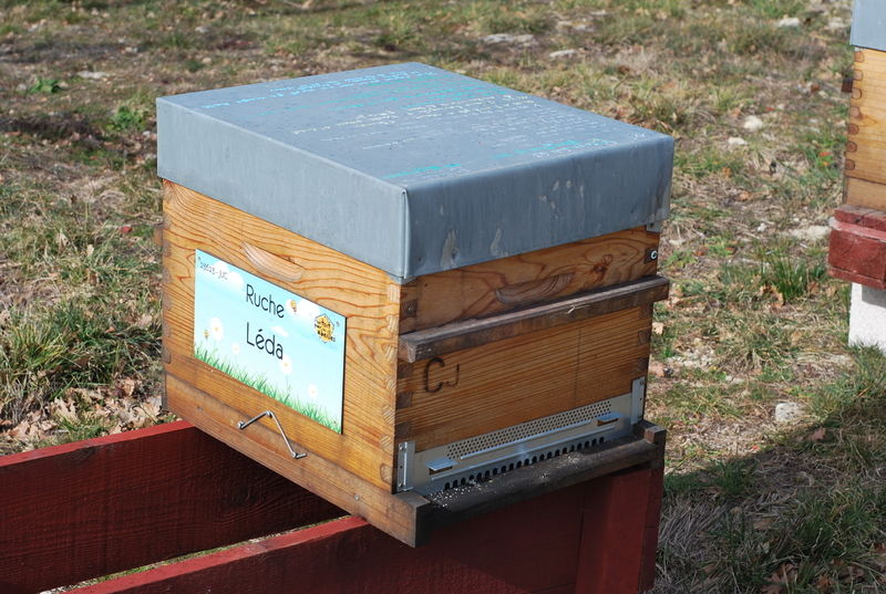 La ruche Léda