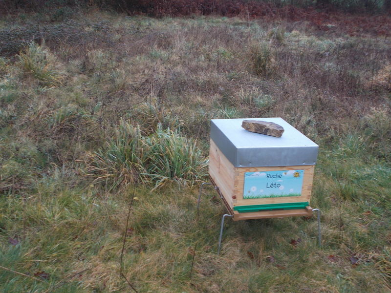 La ruche Léto
