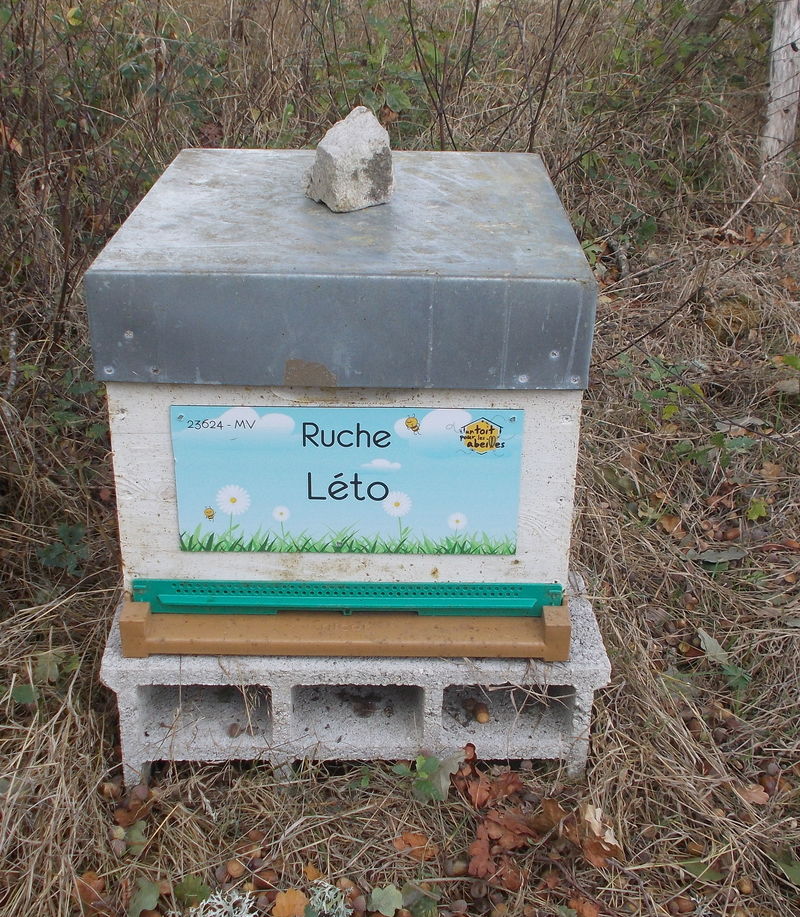 La ruche Léto