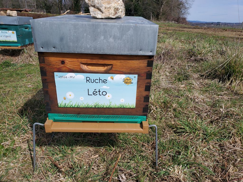 La ruche Léto