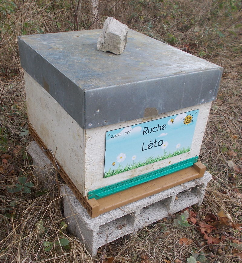 La ruche Léto