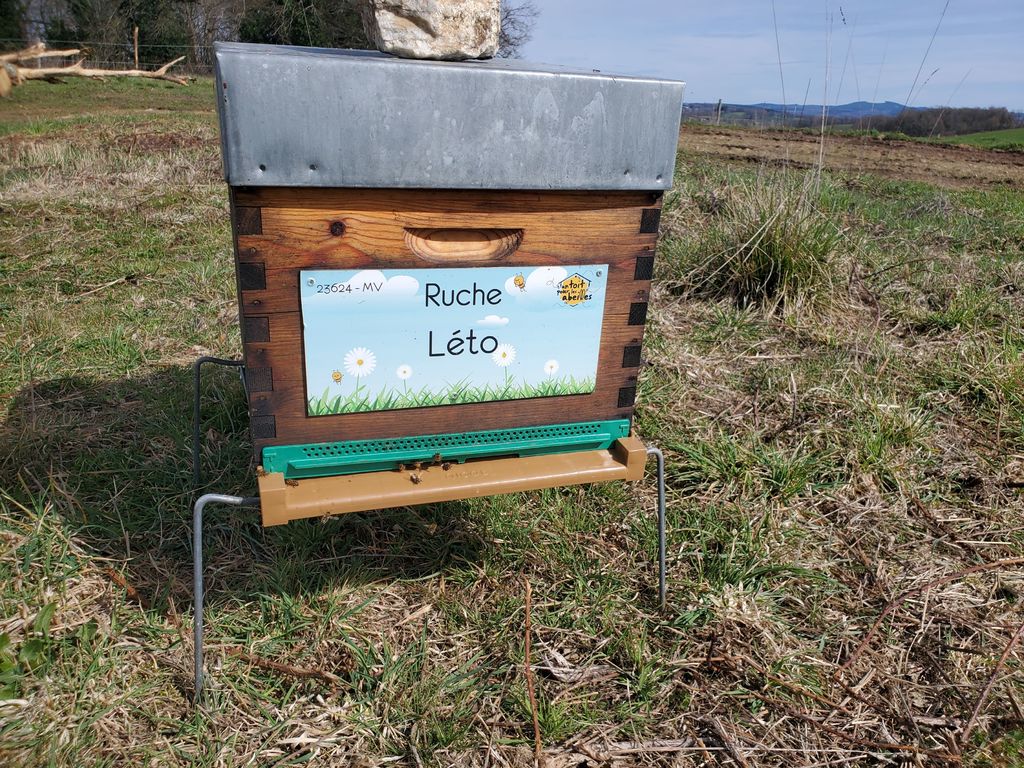 La ruche Léto