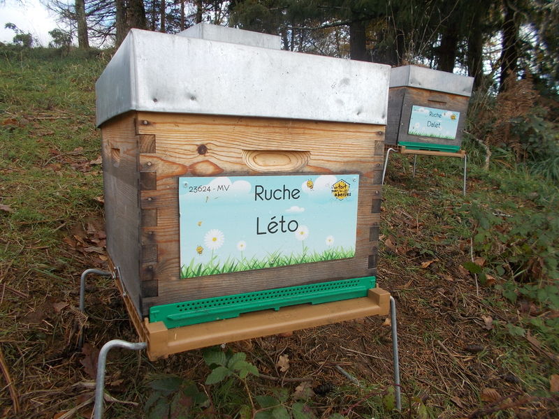 La ruche Léto