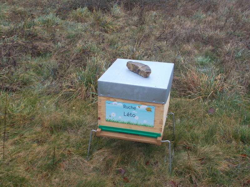 La ruche Léto