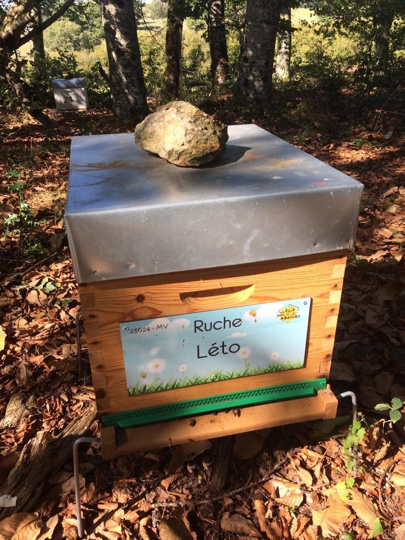 La ruche Léto