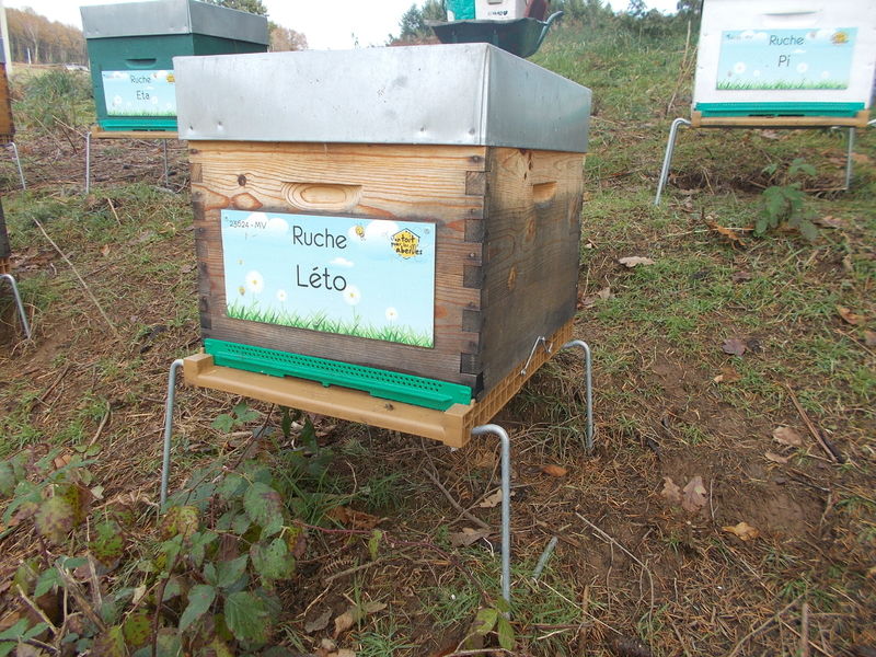 La ruche Léto