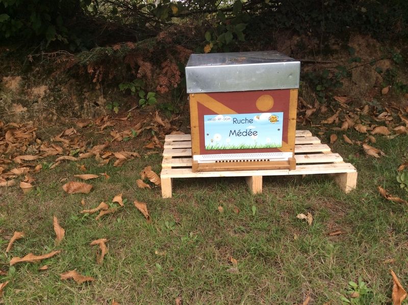 La ruche Médée