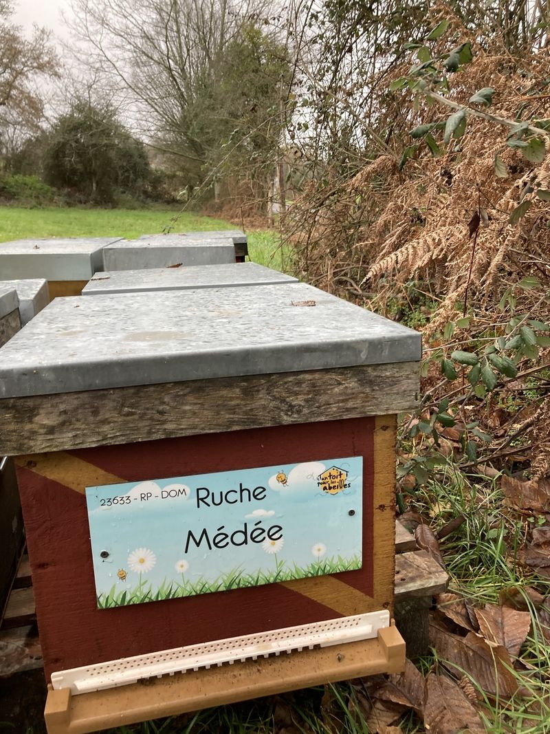 La ruche Médée