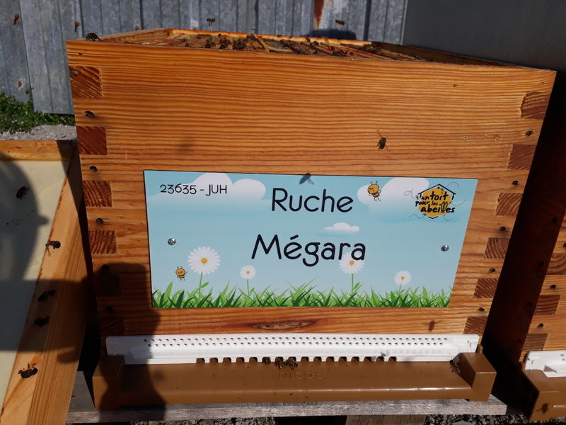 La ruche