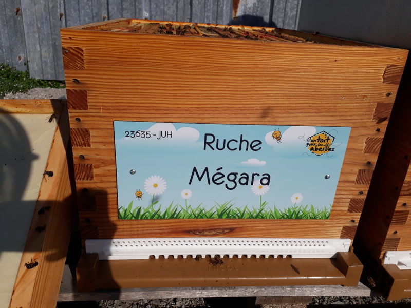 La ruche Mégara